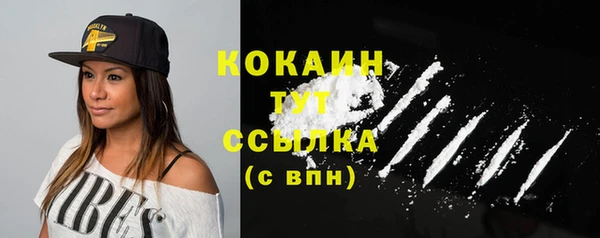 дживик Богородицк