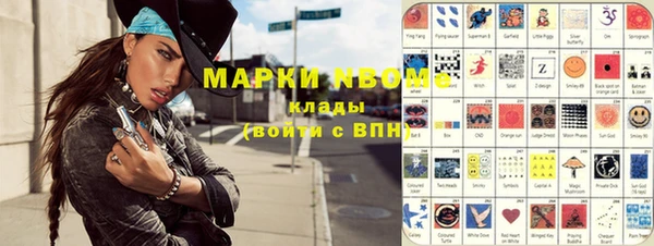 дживик Богородицк