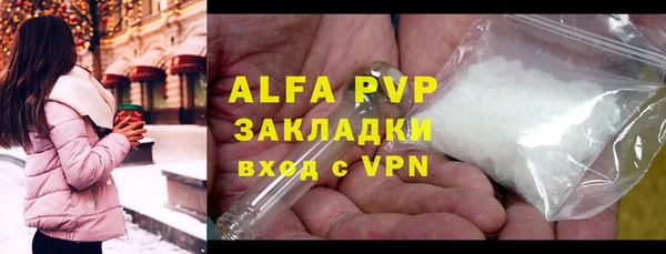 дживик Богородицк