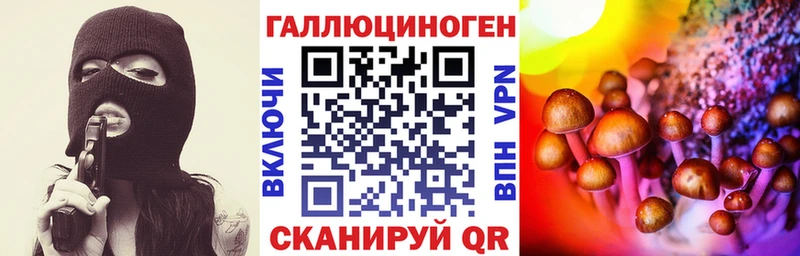 Купить где  Кашин  Псилоцибиновые грибы MAGIC MUSHROOMS 
